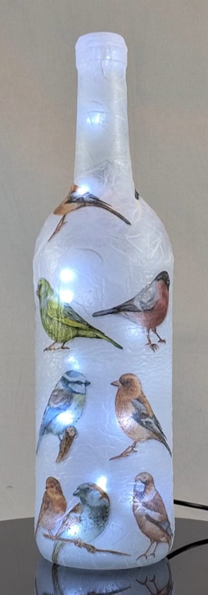 Wild Garden Birds - Hand Made Lamp