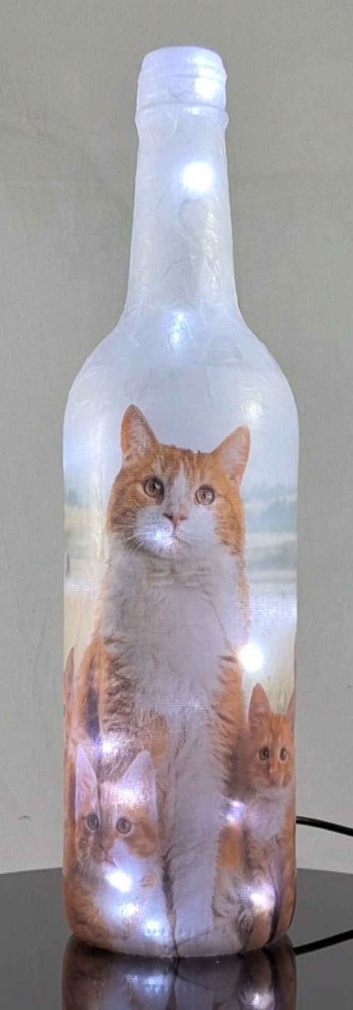 Cute Ginger Cat - Hand Made Lamp